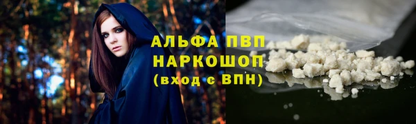 гидра Арсеньев