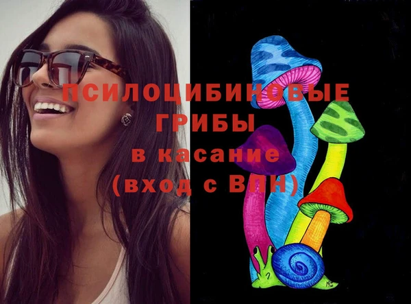 гидра Арсеньев