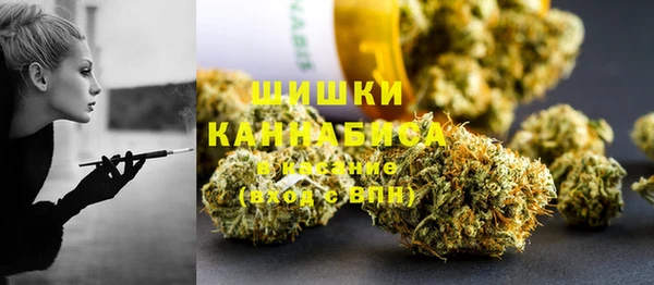 гидра Арсеньев