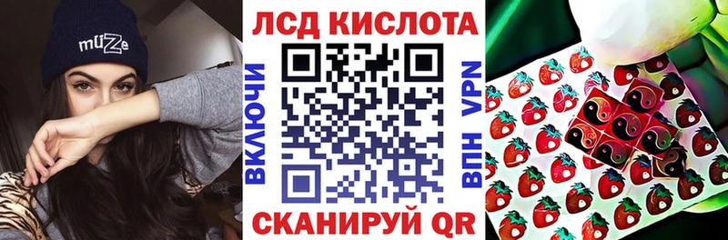 дарнет шоп  Рошаль  Наркотические марки 1500мкг 